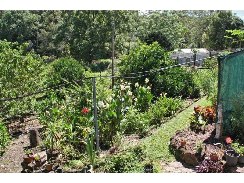 133 Settlement Rd, Numinbah NSW 2484