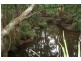 12 Nolans Rd, Stokers Siding NSW 2484