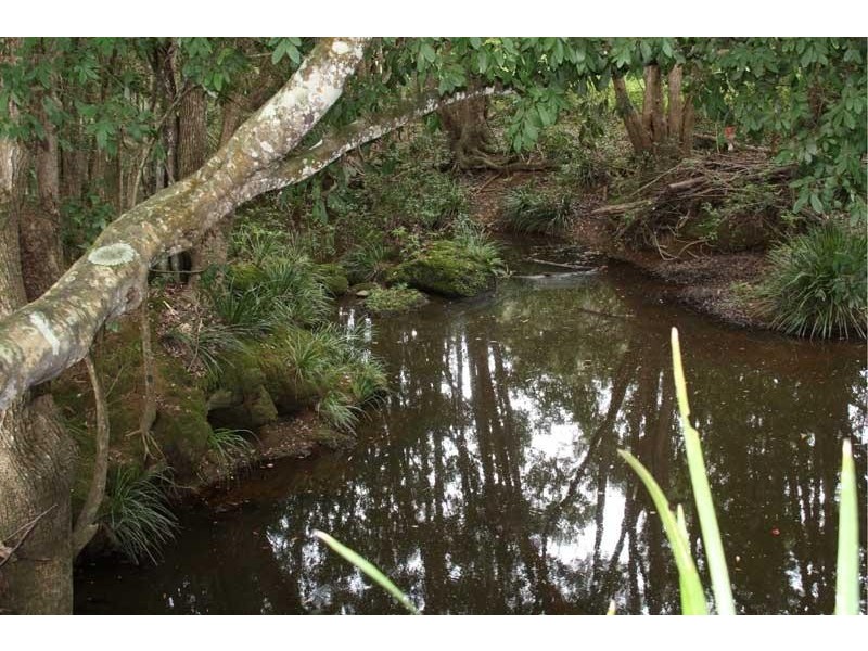 12 Nolans Rd, Stokers Siding NSW 2484