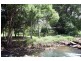 1983 Numinbah Rd, Numinbah NSW 2484