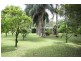 1983 Numinbah Rd, Numinbah NSW 2484