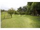 1983 Numinbah Rd, Numinbah NSW 2484