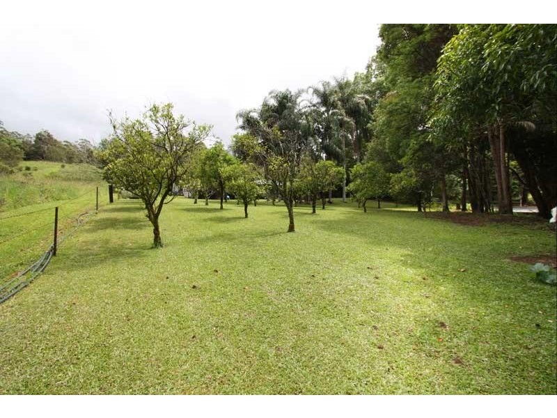 1983 Numinbah Rd, Numinbah NSW 2484