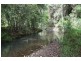 1983 Numinbah Rd, Numinbah NSW 2484