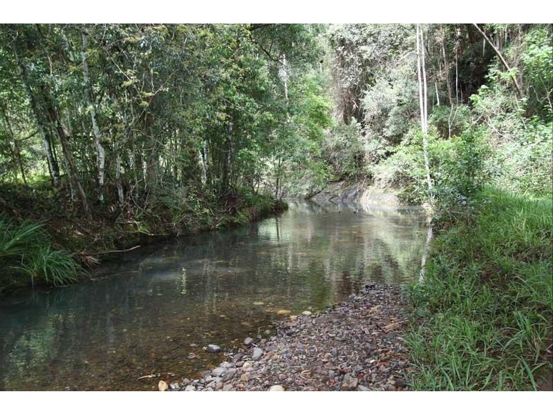 1983 Numinbah Rd, Numinbah NSW 2484
