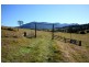 20 O’Briens Rd, Mount Burrell NSW 2484