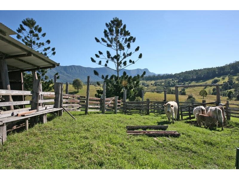 20 O’Briens Rd, Mount Burrell NSW 2484