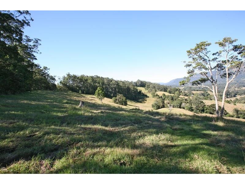 20 O’Briens Rd, Mount Burrell NSW 2484