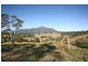 20 O’Briens Rd, Mount Burrell NSW 2484