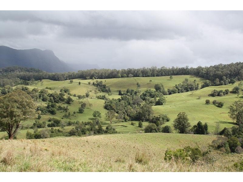 20 O’Briens Rd, Mount Burrell NSW 2484