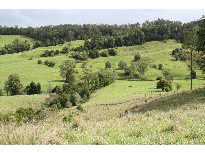 20 O’Briens Rd, Mount Burrell NSW 2484