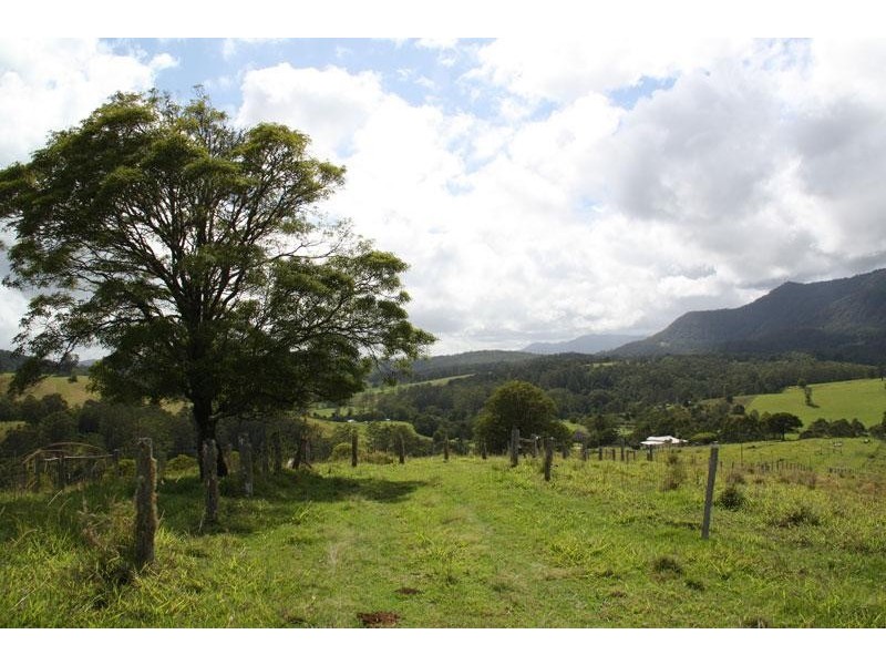 20 O’Briens Rd, Mount Burrell NSW 2484