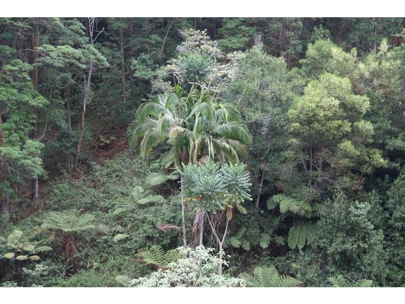 Lot B Smarts Rd, Wardrop Valley NSW 2484