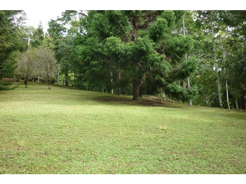 259 Smarts Rd, Wardrop Valley NSW 2484