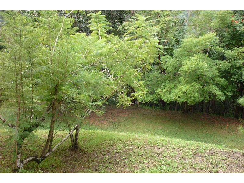 259 Smarts Rd, Wardrop Valley NSW 2484