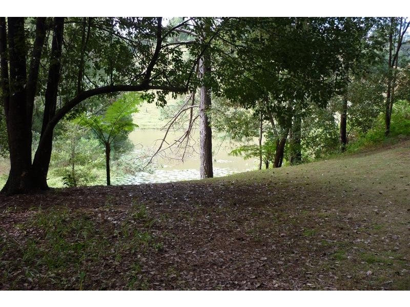 259 Smarts Rd, Wardrop Valley NSW 2484
