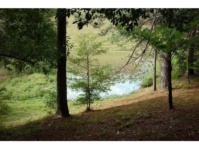 259 Smarts Rd, Wardrop Valley NSW 2484
