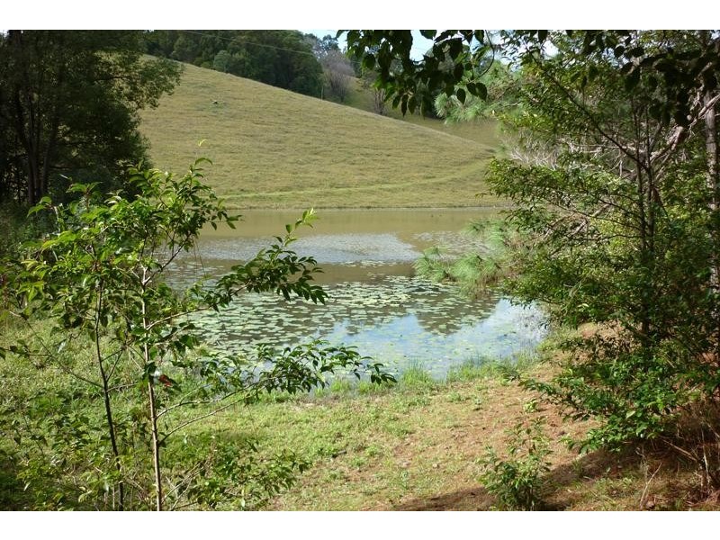 259 Smarts Rd, Wardrop Valley NSW 2484