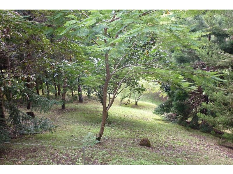 259 Smarts Rd, Wardrop Valley NSW 2484