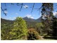 199 Rowlands Creek Rd, Uki NSW 2484
