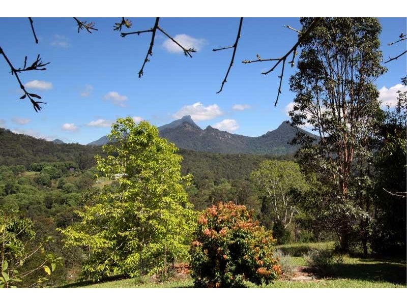 199 Rowlands Creek Rd, Uki NSW 2484