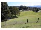 107 Adcocks Rd, Stokers Siding NSW 2484