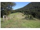 245 Limpinwood Valley Rd, Limpinwood NSW 2484