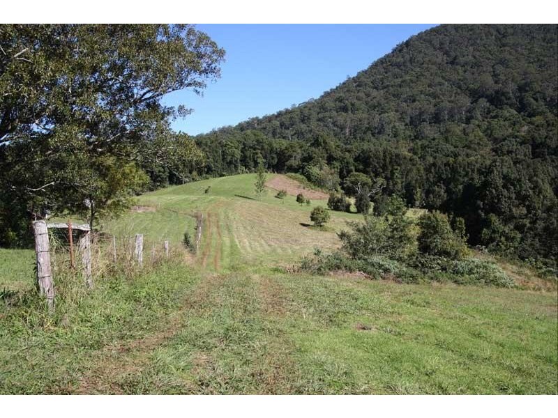 245 Limpinwood Valley Rd, Limpinwood NSW 2484