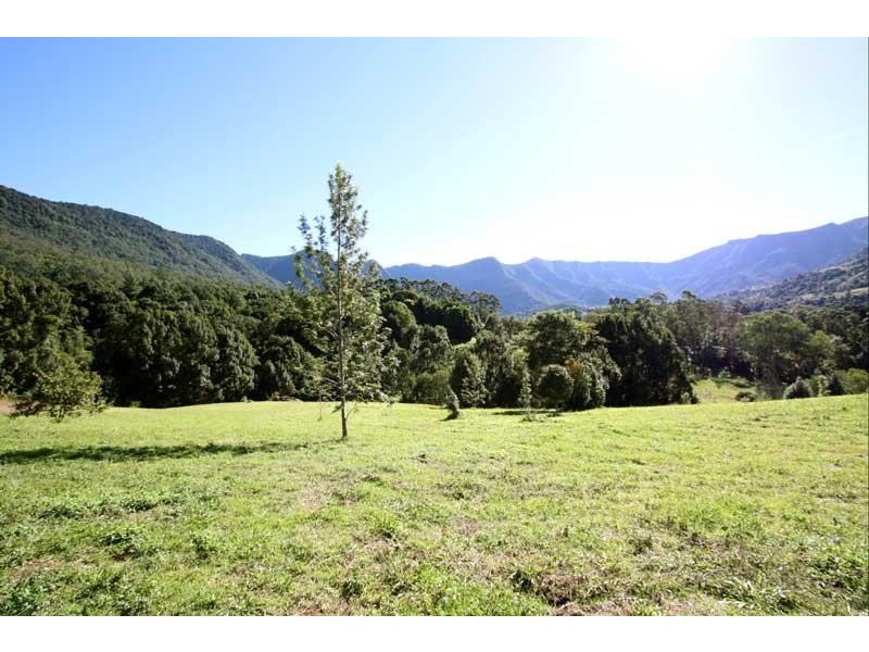 245 Limpinwood Valley Rd, Limpinwood NSW 2484