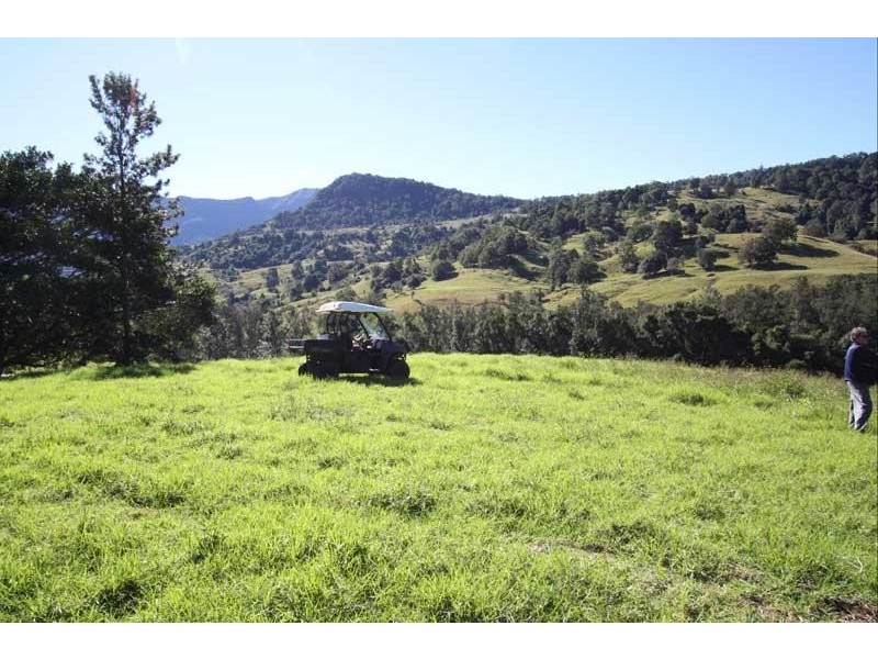 235 Limpinwood Valley Rd, Limpinwood NSW 2484