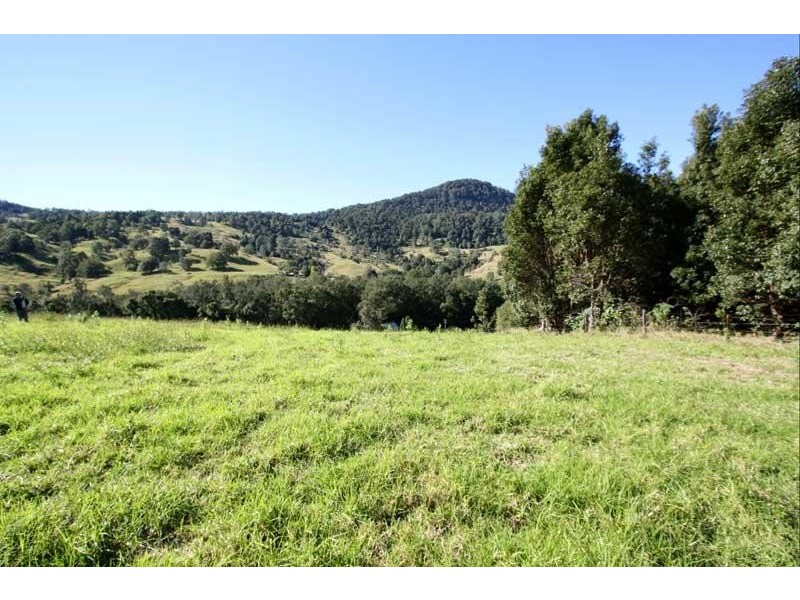 235 Limpinwood Valley Rd, Limpinwood NSW 2484