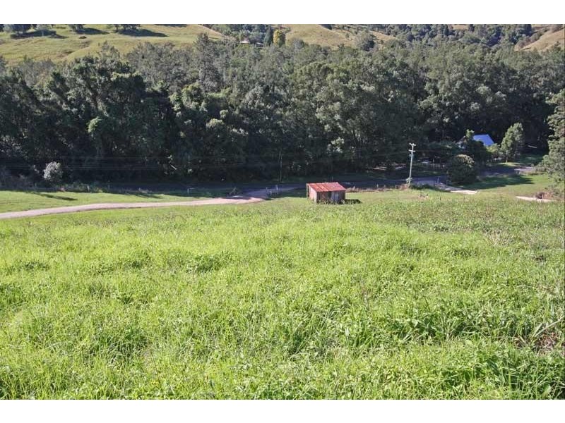 235 Limpinwood Valley Rd, Limpinwood NSW 2484