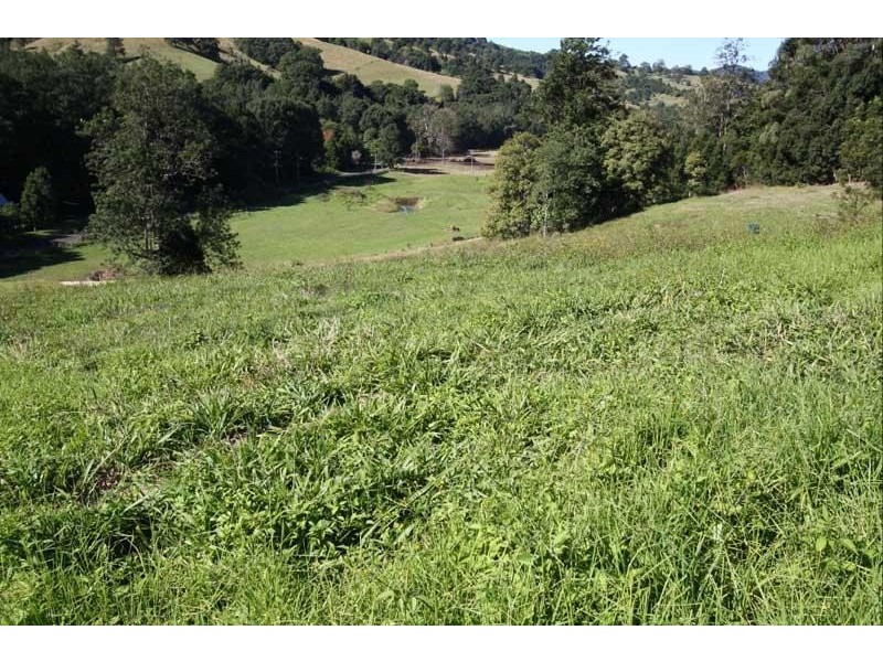 235 Limpinwood Valley Rd, Limpinwood NSW 2484