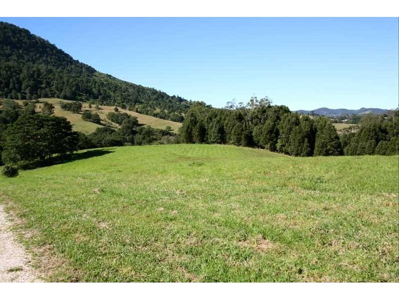 235 Limpinwood Valley Rd, Limpinwood NSW 2484