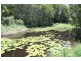 34 Birrigan Cl, Nobbys Creek NSW 2484