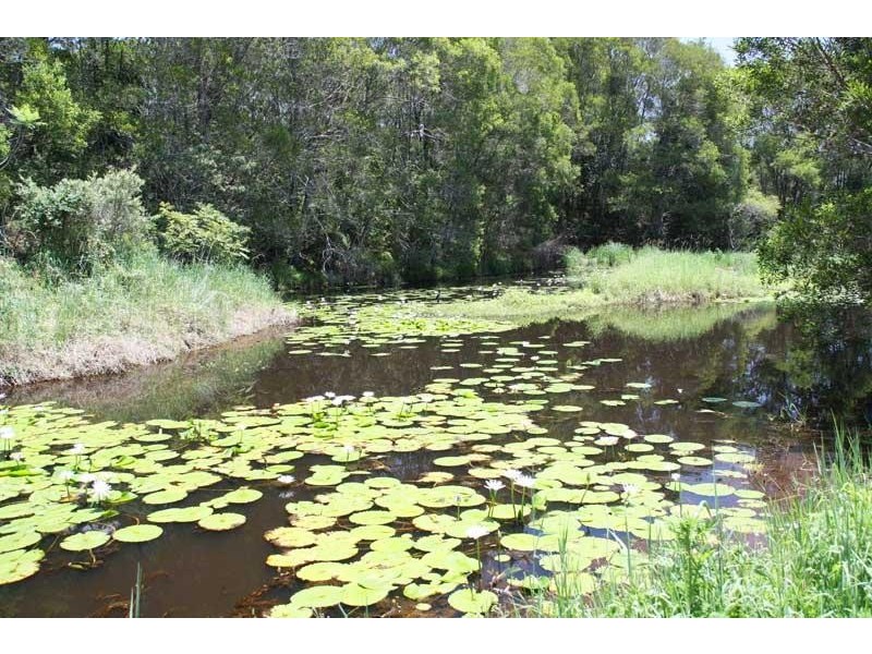 34 Birrigan Cl, Nobbys Creek NSW 2484