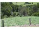 34 Birrigan Cl, Nobbys Creek NSW 2484