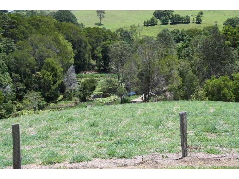 34 Birrigan Cl, Nobbys Creek NSW 2484