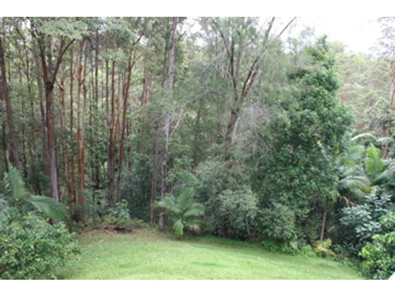 1194 Urliup Rd, Murwillumbah NSW 2484