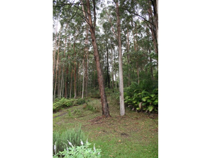 1194 Urliup Rd, Murwillumbah NSW 2484