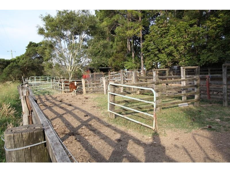 645 Stokers Rd, Dunbible NSW 2484