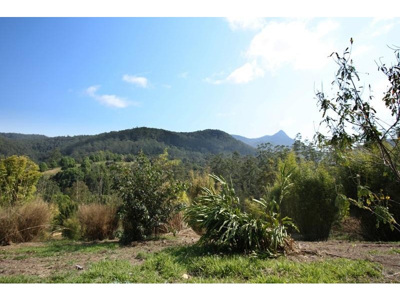 Byrrill Creek NSW 2484
