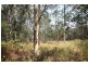 Byrrill Creek NSW 2484