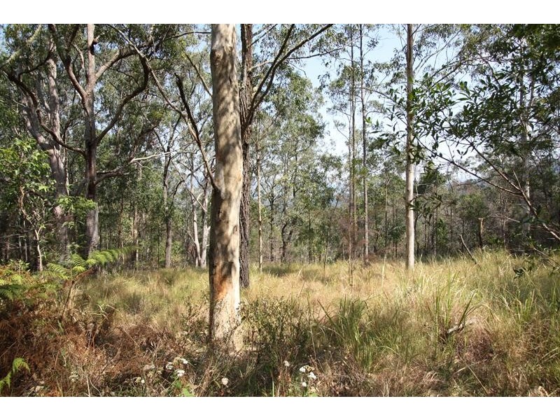 Byrrill Creek NSW 2484