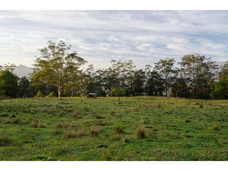 123 Boxsell Rd, Tyalgum NSW 2484