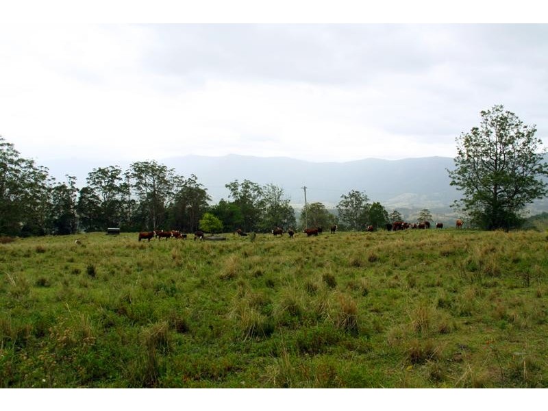 123 Boxsell Rd, Tyalgum NSW 2484