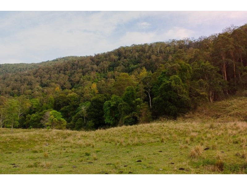 123 Boxsell Rd, Tyalgum NSW 2484