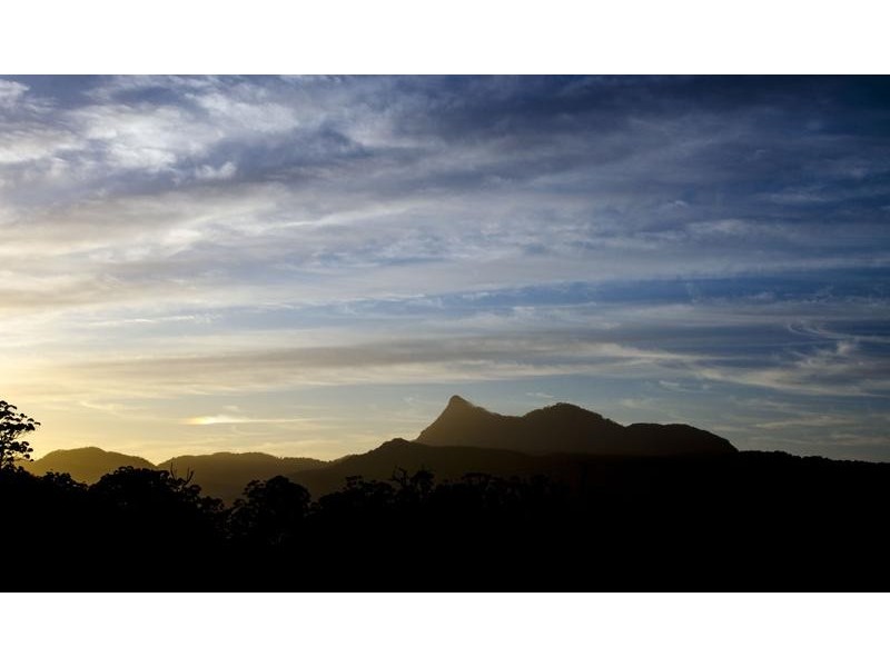 123 Boxsell Rd, Tyalgum NSW 2484