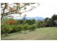 Crystal Creek NSW 2484