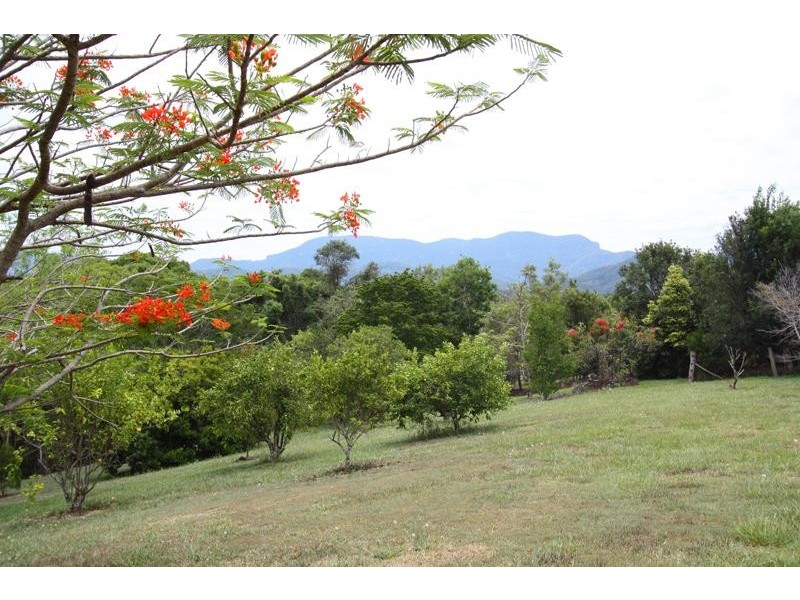 Crystal Creek NSW 2484